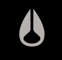 NIXON Лого