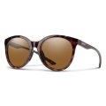 SMITH BAYSIDE TORTOISE Polarized Brown | Sunglasses