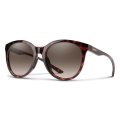 SMITH BAYSIDE TORTOISE Polarized Brown Gradient | Sunglasses